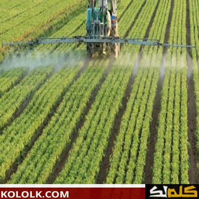 أهمية وفائدة الزراعة في الوطن العربي