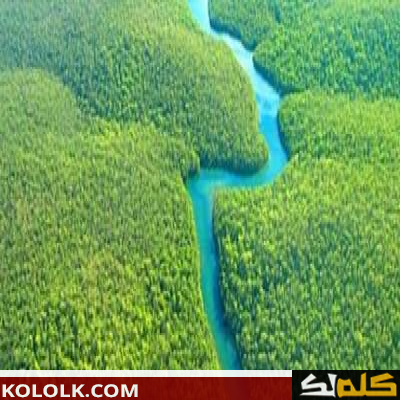 اين يوجد ويقع نهر الأمازون