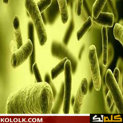 أعراض بكتيريا إي كولاي في المهبل