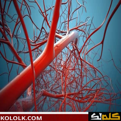 معلومات عن أمراض الأوعية الدموية