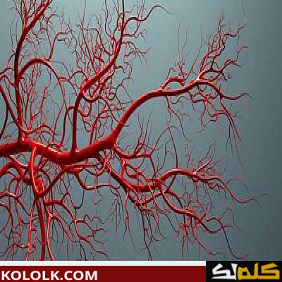 الأوعية الدموية وأمراضها