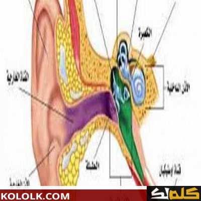 ما هى اسباب التهاب الأذن الوسطى
