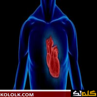 كيف يعمل القلب البشري