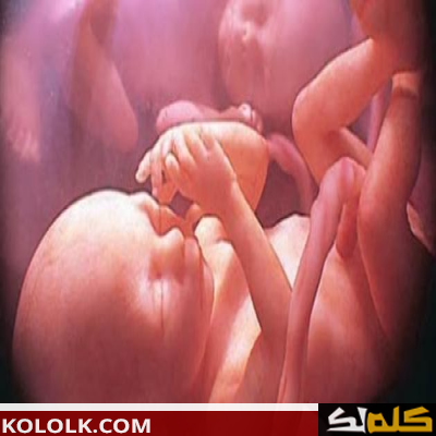 مراحل نمو الجنين بالأسابيع