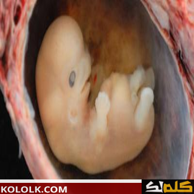 ما هو سبب الحمل خارج الرحم
