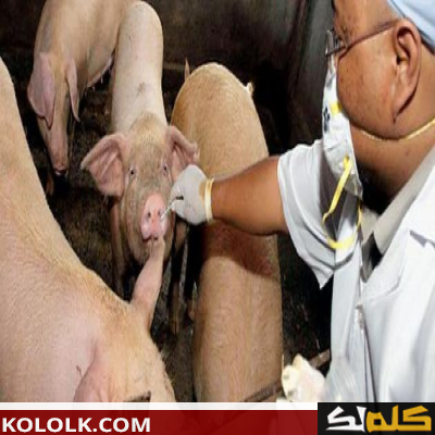ما هو سبب انفلونزا الخنزير