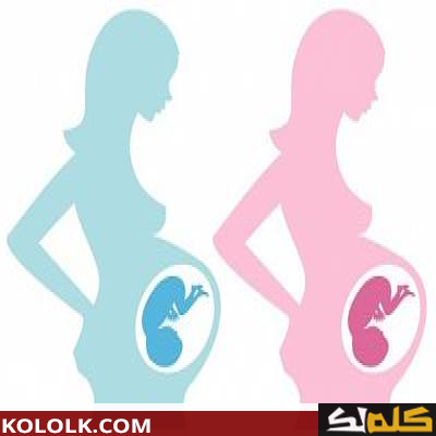 شكل البطن ونوع الجنين