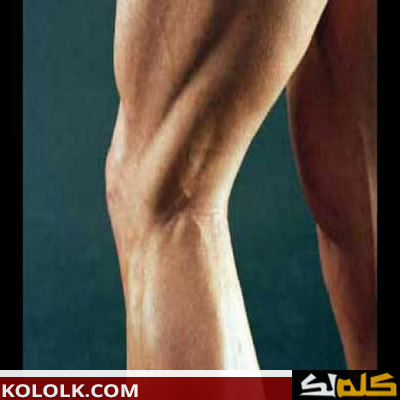 كيف تقوي عضلات الفخذ