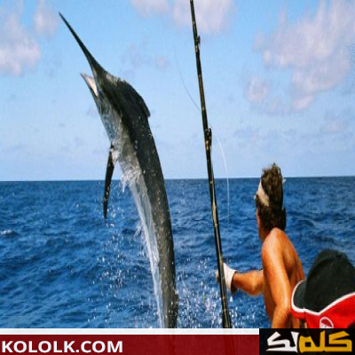 طريقة صيد الأسماك