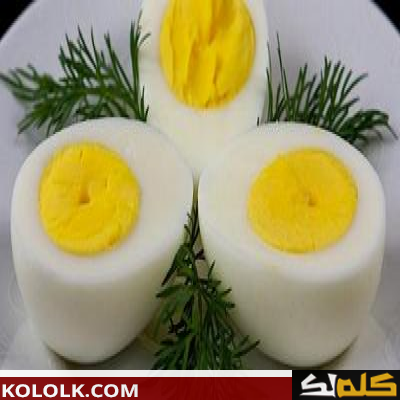 فوائد بياض البيض لكمال الأجسام