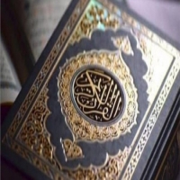 كم هو عدد صفحات القرآن الكريم