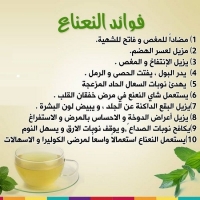 فوائد النعناع الأخضر مع الشاى