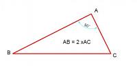 طريقة حساب محيط المثلث القائم