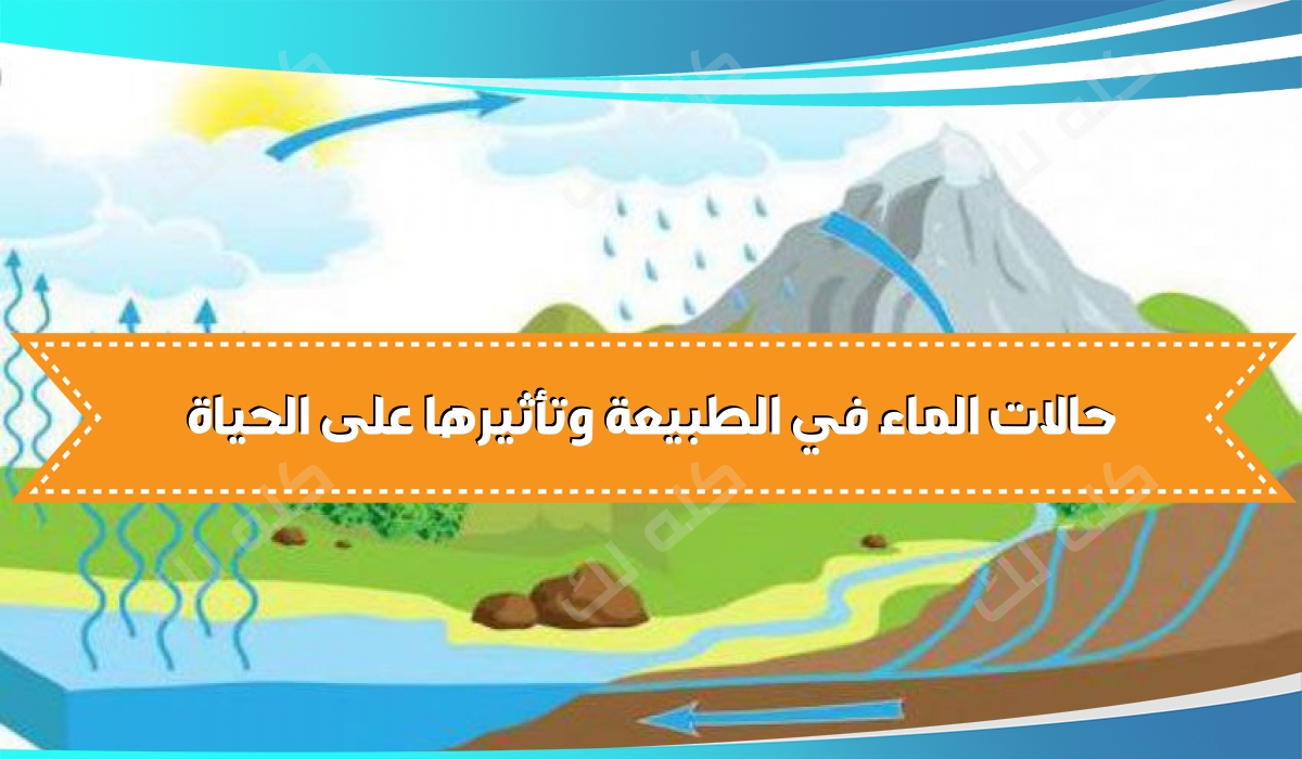 اكتشف أنواع حالات الماء في الطبيعة وأهميتها للحياة اليومية - كله لك