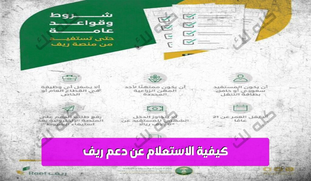 كيفية الاستعلام عن دعم ريف