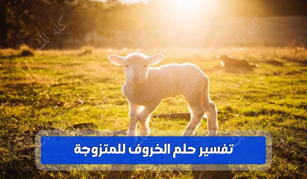 تفسير حلم الخروف للمتزوجة