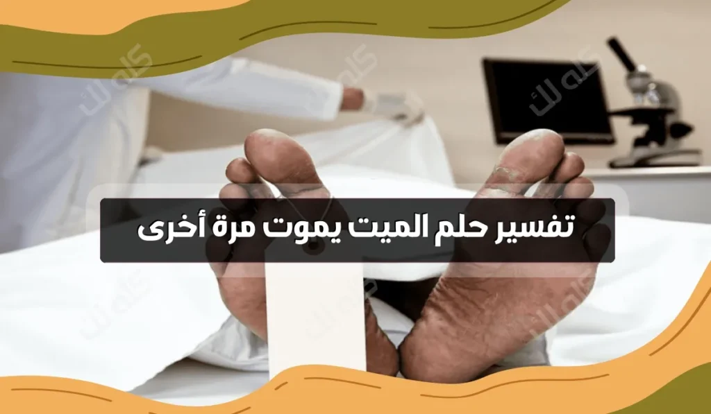 D8AAD981D8B3D98AD8B1 D8ADD984D985 D8A7D984D985D98AD8AA D98AD985D988D8AA D985D8B1D8A9 D8A7D8AED8B1D989