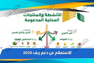 الاستعلام عن دعم ريف 2025