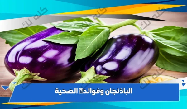 D981D988D8A7D8A6D8AF D8A7D984D8A8D8A7D8B0D986D8ACD8A7D986