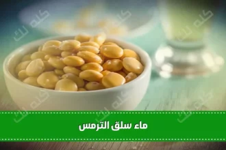 2025 6 4 13 56 43 230