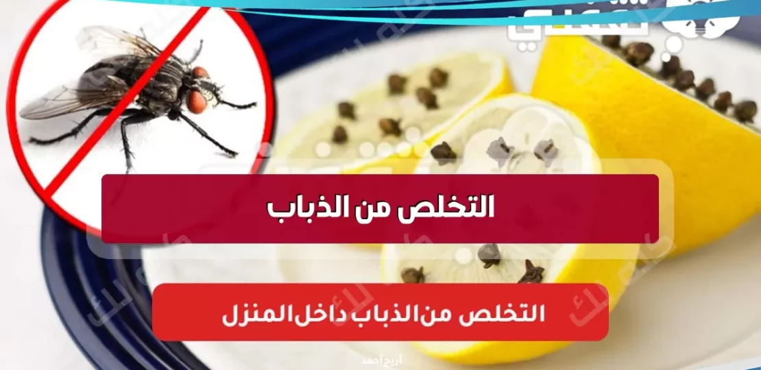 D8A7D984D8AAD8AED984D8B5 D985D986 D8A7D984D8B0D8A8D8A7D8A8