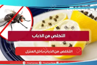 D8A7D984D8AAD8AED984D8B5 D985D986 D8A7D984D8B0D8A8D8A7D8A8