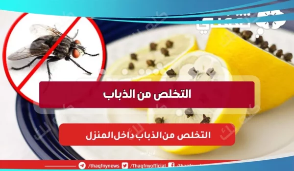 طرق التخلص من الذباب نهائيا فى البيت بدون مبيدات 13 D8A7D984D8AAD8AED984D8B5 D985D986 D8A7D984D8B0D8A8D8A7D8A8