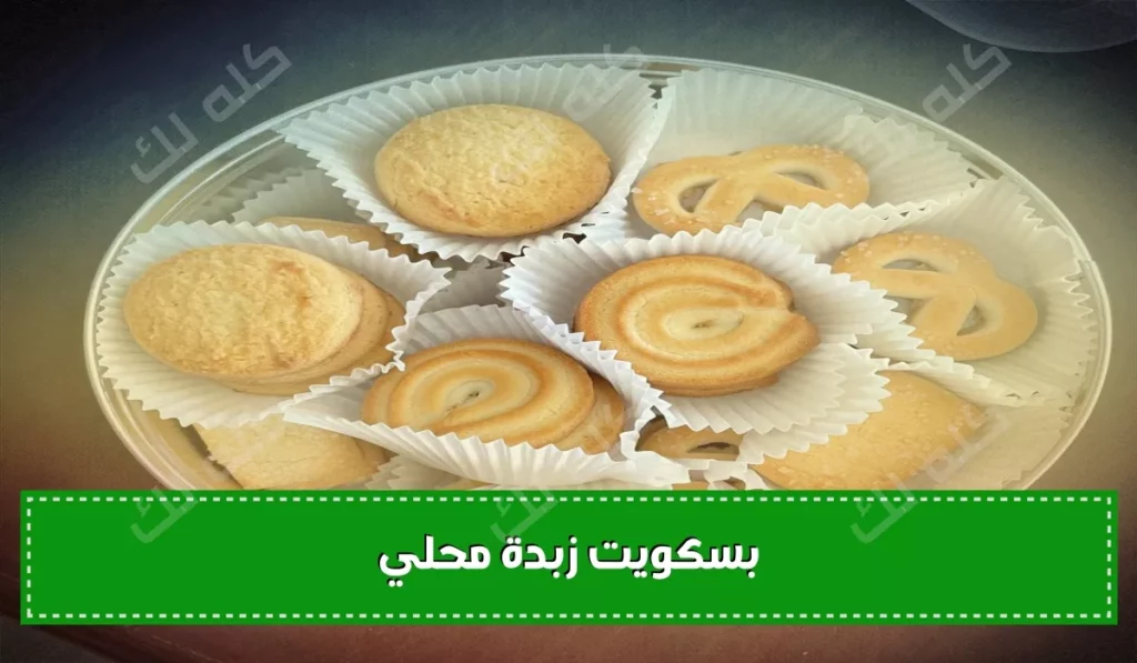 D8A8D8B3D983D988D98AD8AA D8A7D984D8B2D8A8D8AFD8A9 D8A7D984D985D982D8B1D985D8B4