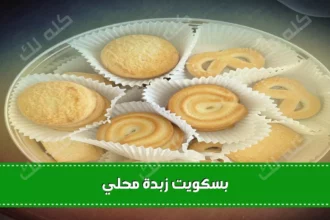 D8A8D8B3D983D988D98AD8AA D8A7D984D8B2D8A8D8AFD8A9 D8A7D984D985D982D8B1D985D8B4