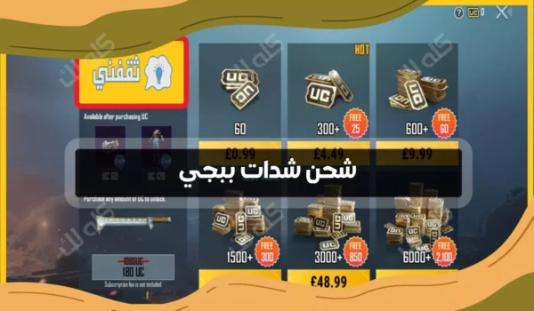 طريقة لشحن شدات ببجي من المصدر الموثوق 5 D8B4D8ADD986 D8B4D8AFD8A7D8AA D8A8D8A8D8ACD98A D8A8D8A7D984D8B7D8B1D98AD982D8A9 D8A7D984D8B1D8B3D985D98AD8A9