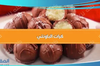 D983D8B1D8A7D8AA D8A7D984D8A8D8A7D988D986D8AAD98A