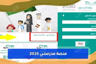 D985D986D8B5D8A9 D985D8AFD8B1D8B3D8AAD98A D8AAD8B3D8ACD98AD984 D8AFD8AED988D984 1 1024x576 1