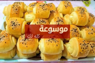 d8a3d8b3d987d984 d8b7d8b1d98ad982d8a9 d984d8b9d985d984 d8a8d8a7d8aad98ad987 d8a7d984d8acd8a8d986d8a9 d8a7d984d987d8b4 d981d98a d8a7d984 1