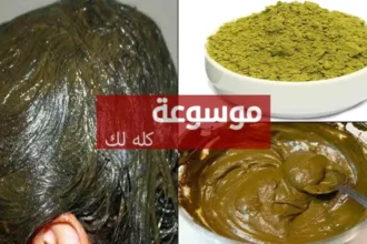 d8b7d8b1d98ad982d8a9 d8b7d8a8d98ad8b9d98ad8a9 d984d984d8add8b5d988d984 d8b9d984d989 d984d988d986 d8add986d8a7d8a1 d8a3d8add985d8b1 d8ba 1