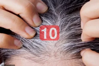 d8b9d984d8a7d8ac d8b7d8a8d98ad8b9d98a d8acd8afd98ad8af d98ad8b9d98ad8af d984d988d986 d8a7d984d8b4d8b9d8b1 d988d98ad985d986d8b9 d8a7d984