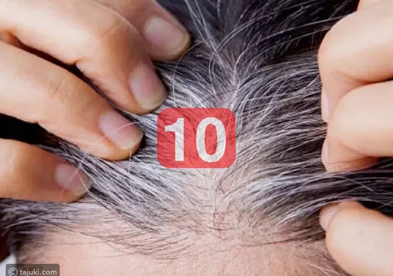 d8b9d984d8a7d8ac d8b7d8a8d98ad8b9d98a d8acd8afd98ad8af d98ad8b9d98ad8af d984d988d986 d8a7d984d8b4d8b9d8b1 d988d98ad985d986d8b9 d8a7d984