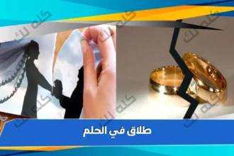 D8A7D984D8B2D988D8A7D8AC D988D8A7D984D8B7D984D8A7D982 D981D98A D8A7D984D8ADD984D985