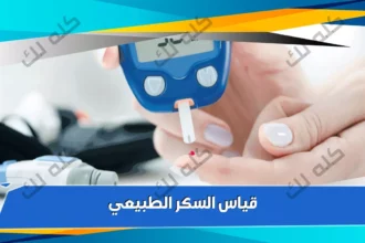 tbl articles article 21022 4006d062bdb 5e1c 4ba5 9121 5a23bcc96e74