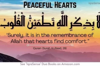 أجمل دعاء يريح القلب ويشرح الصدر ويزيل الهم 1 1474efcf8b2cc012f15f1c6648be2f3d