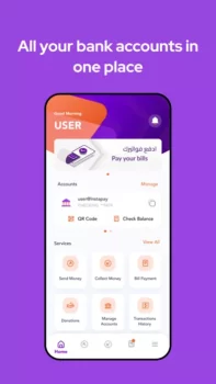 حدود السحب من تطبيق انستا باي بعد آخر قرارات المركزي.. الأرقام الكاملة والرسوم الجديدة خطوة بخطوة 5 392x696bb