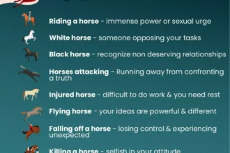 رؤية الحصان في المنام وتفسير ركوب الخيل للعزباء والمتزوجة والحامل 4 80 Types of Dreaming of Horses Their Meanings 1024x1024 1