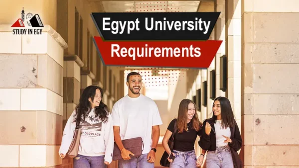 رابط نتيجة تنسيق المرحلة الثالثة 2025 عبر موقع التنسيق الإلكتروني والخطوات الرسمية 19 Egypt University Requirements
