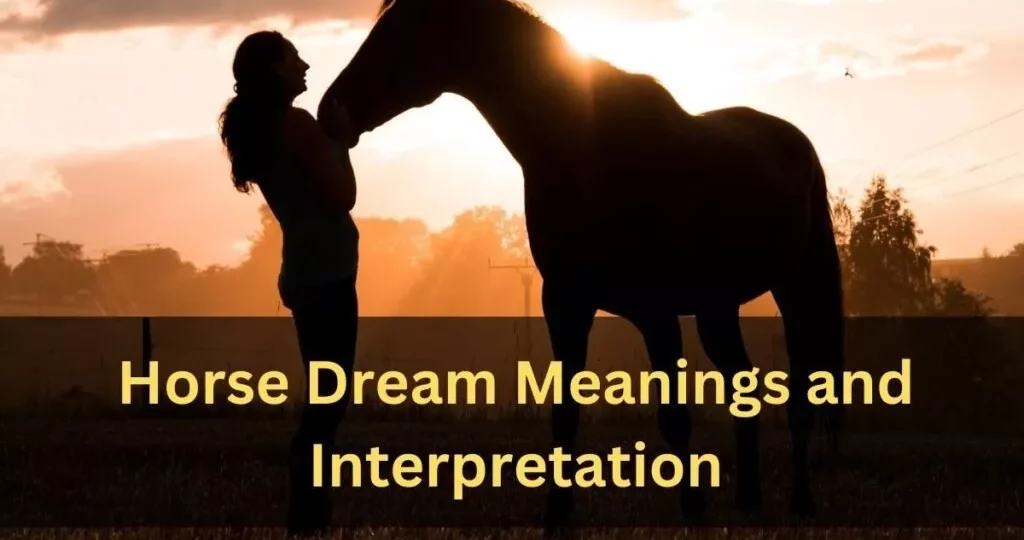 رؤية الحصان في المنام.. دلالات ركوب الخيل وتفسير الألوان للعزباء والمتزوجة والحامل 1 Horse dream meanings and Interpretation 1024x683 1