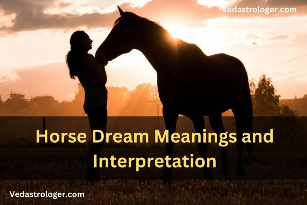 Horse dream meanings and Interpretation 1024x683 1