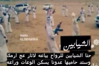 الشيباني وش يرجعون؟ أصل ونسب عائلة الشيباني في الجزيرة العربية 17 arabian tribes desert