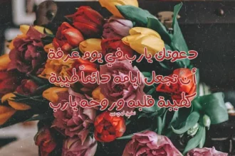 دعاء يوم عرفة يجدد الإيمان ويفتح أبواب الرجاء للمسلمين 14 Arafah day prayer muslim