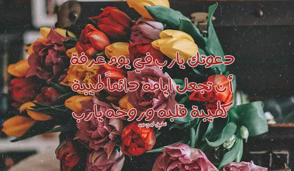 دعاء يوم عرفة يجدد الإيمان ويفتح أبواب الرجاء للمسلمين 1 Arafah day prayer muslim