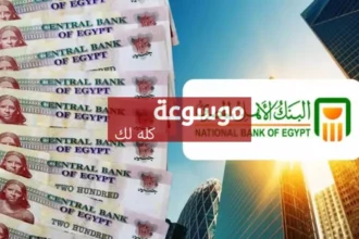 كم فوائد 200 ألف جنيه في شهادات البنك الأهلي بعد خفض الفائدة 1 d983d985 d98ad8b1d8a8d8ad d8a7d8b3d8aad8abd985d8a7d8b1 200 d8a3d984d981 d8acd986d98ad987 d981d98a d8b4d987d8a7d8afd8a7d8aa d8a7d984d8a8