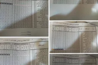 نتيجة الصف الرابع الابتدائي الجيزة 2026 وخطوات الاستعلام بالألوان 5 Egypt primary school results online