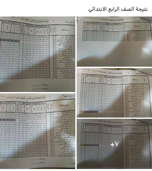 Egypt primary school results online